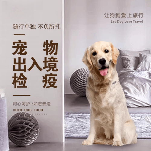 海南省宠物托运到哥伦比亚猫狗宠物入境规定和